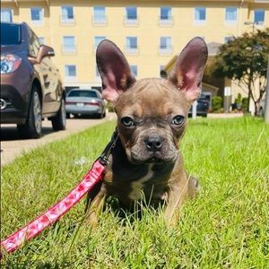 Meet your Posher, Vivian cristina